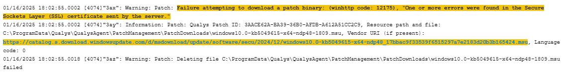 れな 81BJWMuSymL._UF350,350_QL50_.jpg